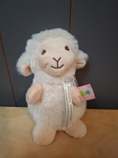 Schaap Sienna en lam Logan - Image 4