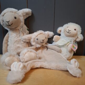 Schaap Sienna en lam Logan