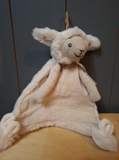 Schaap Sienna en lam Logan - Image 3