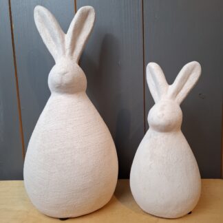 Bunny Regy